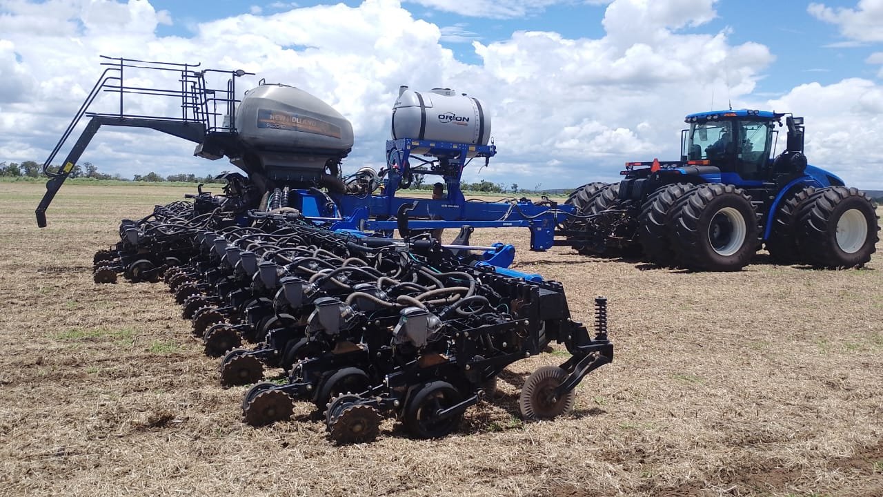 Castor Oil Plant: Economic Value, Striking Beauty, and Ricin Risk